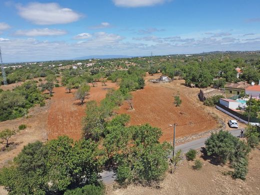 토지 / Albufeira e Olhos de Água, Albufeira