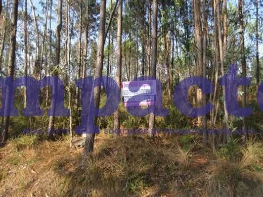 Terreno a Santa Maria da Feira, Distrito de Aveiro