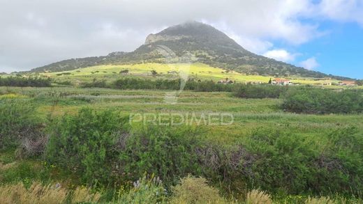 Grundstück in Vila de Porto Santo, Madeira