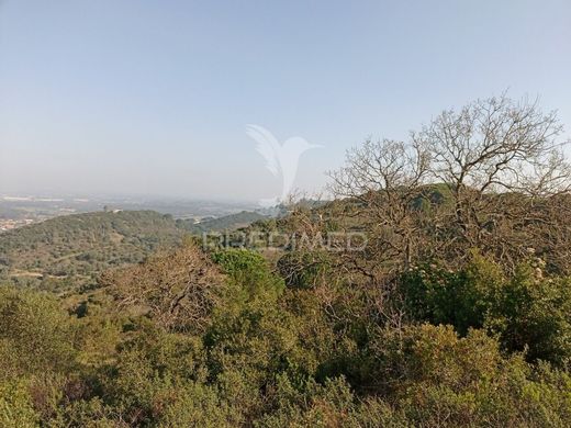 地皮  Santiago do Cacém, Distrito de Setúbal