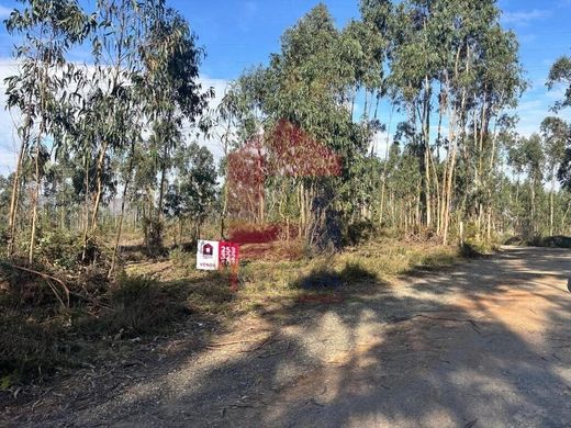 Arsa Vila Verde, Distrito de Braga