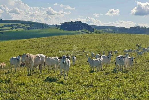 豪宅  Riversul, São Paulo