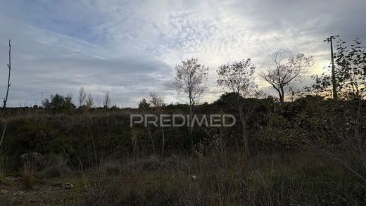 Terreno - Torres Novas, Santarém
