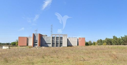 Teren w Benavente, Distrito de Santarém