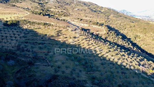 Terreno en Vila Nova de Foz Côa, Guarda