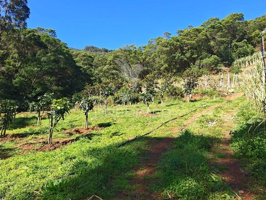 Участок, Machico, Madeira