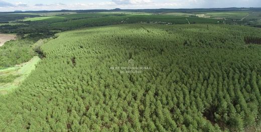 Luxe woning in Itapetininga, São Paulo
