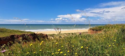 Villa in Albufeira e Olhos de Água, Albufeira Municipality