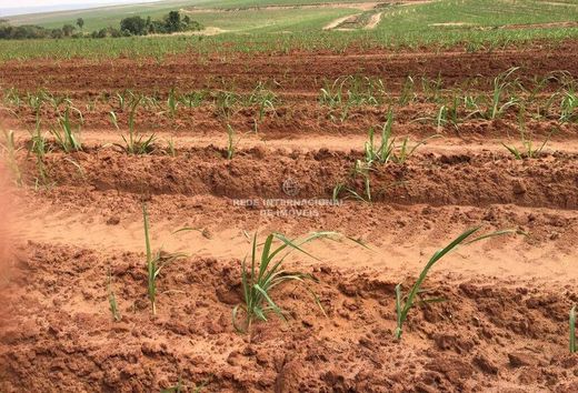 호화 저택 / Piracicaba, São Paulo