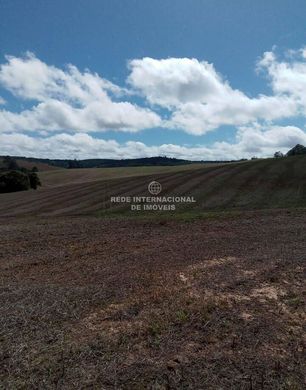 Maison de luxe à Ribeirão Branco, São Paulo