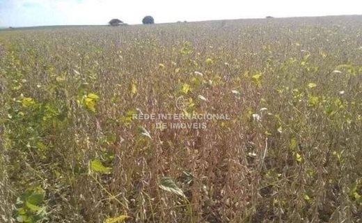 豪宅  Echaporã, São Paulo