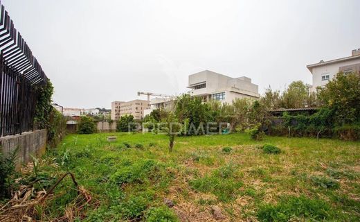 토지 / 리스본, Lisbon