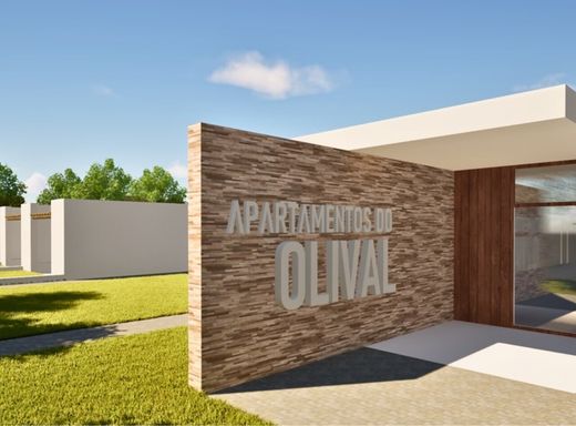 Land in Ponte de Sôr, Ponte de Sor