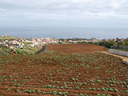أرض ﻓﻲ Santana, Madeira