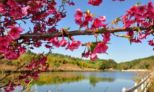 Terreno en Adamantina, São Paulo