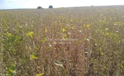 Casa di lusso a Echaporã, São Paulo