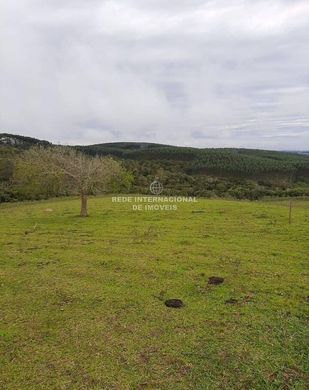 Lüks ev São Miguel Arcanjo, São Paulo