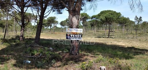 Grond in Grândola, Distrito de Setúbal