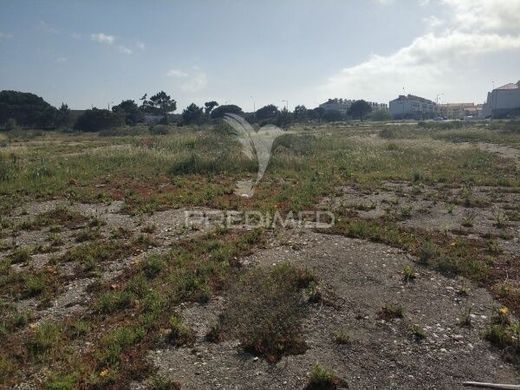 Αγροτεμάχιο σε Φιγκέιρα ντα Φους, Figueira da Foz