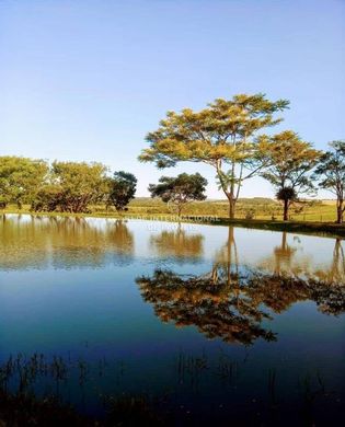 ‏בתי יוקרה ב  Tijuco Prêto, Rio Negro