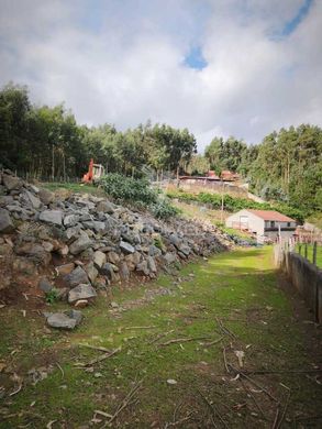 호화 저택 / Santa Cruz, Madeira