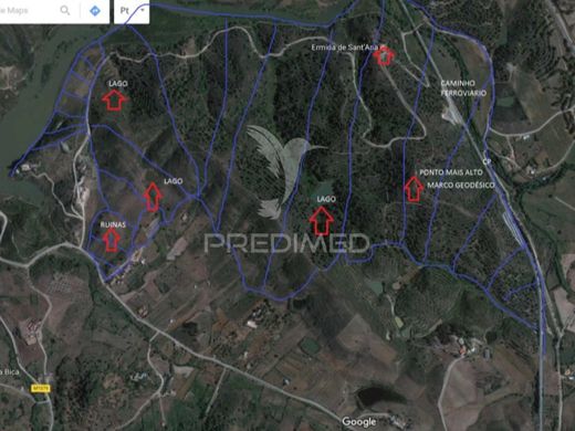 토지 / Silves, Distrito de Faro