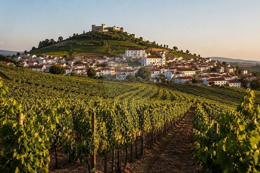 Villa à Arruda dos Vinhos, Arruda Dos Vinhos