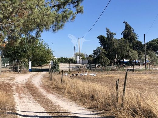 Villa in Grândola, Distrito de Setúbal