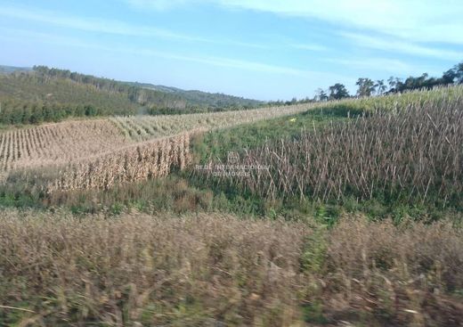 豪宅  Ribeirão Branco, São Paulo