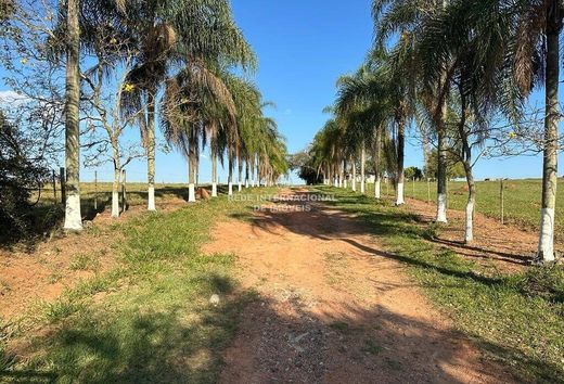 Casa de lujo en Alambari, São Paulo