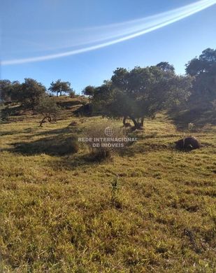 Land in Sorocaba, São Paulo