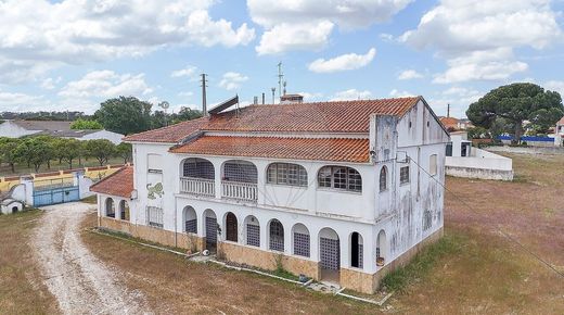 Luksusowy dom w Cartaxo, Distrito de Santarém