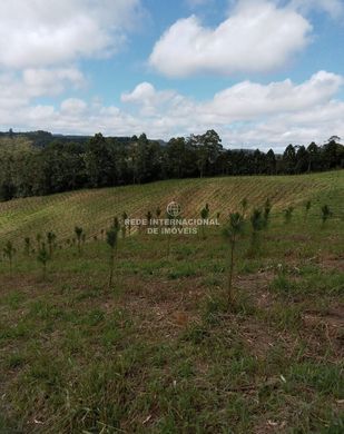 Элитный дом, Ribeirão Branco, São Paulo