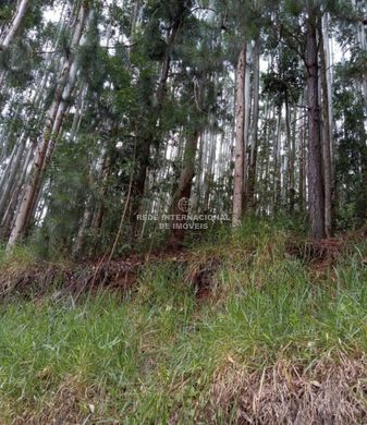 豪宅  Ribeirão Branco, São Paulo