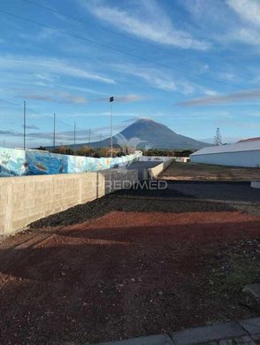 Land in Madalena, Azores