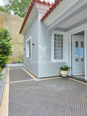 Ponta do Sol, Madeiraのヴィラ