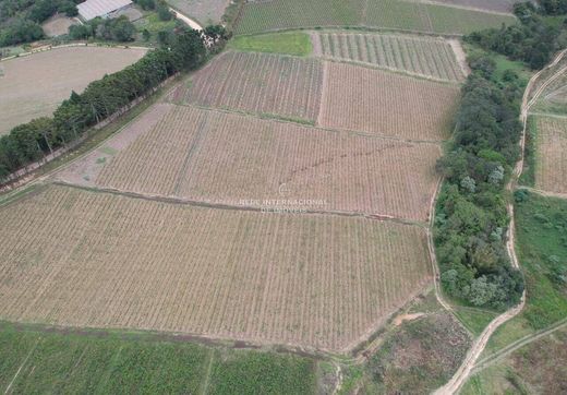Luxe woning in São Miguel Arcanjo, São Paulo