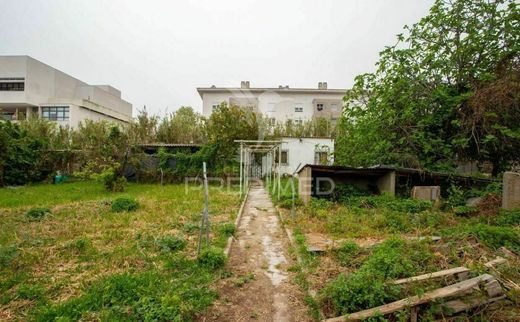 토지 / 리스본, Lisbon