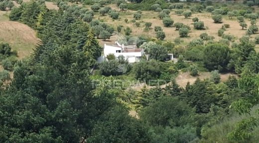 Villa a Santarém, Distrito de Santarém