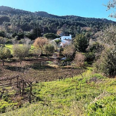 Castelo de Vide, Distrito de Portalegreの高級住宅