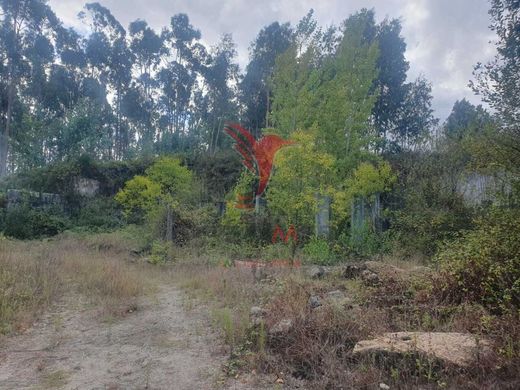 Grundstück in Fafe, Distrito de Braga