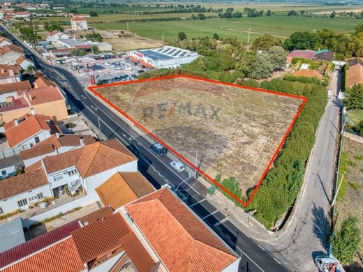 Terreno a Alpiarça, Distrito de Santarém