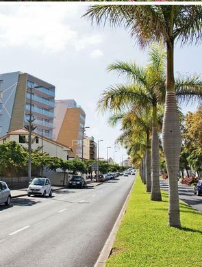 套间/公寓  Funchal, Madeira