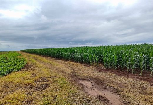 Ribeirão Bonito, São Pauloの高級住宅