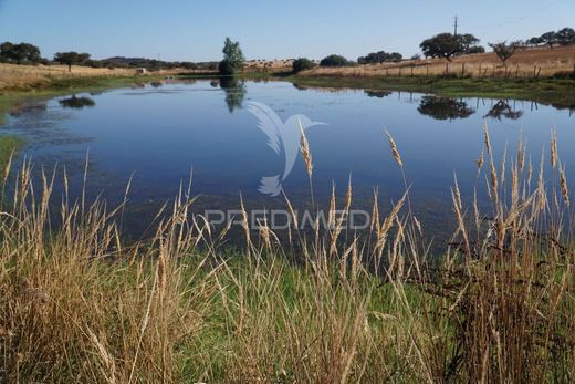 Πολυτελή κατοικία σε Alandroal, Distrito de Évora