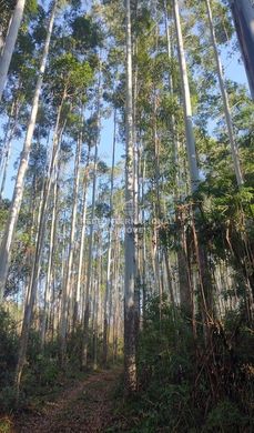 Luxury home in Jacupiranga, São Paulo
