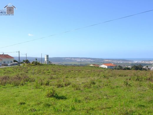 Land in Alcobaça, Distrito de Leiria