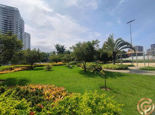 토지 / 리우데자네이루, Rio de Janeiro