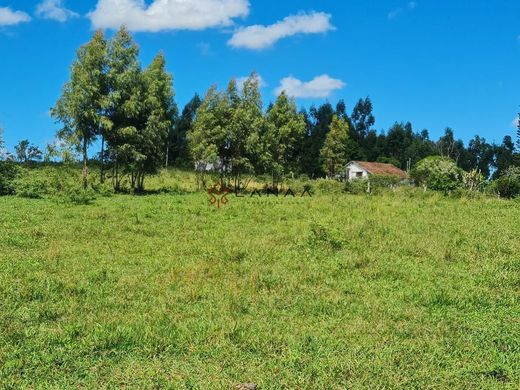 Rural or Farmhouse in Araruama, Rio de Janeiro