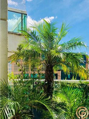 아파트 / 상파울루, São Paulo